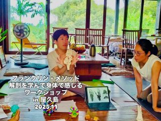 今回の屋久島滞在は、
メガネ作りの他、からだのワークショップや施術をさせていただいたり、
反対に癒しの時間もいただいたり、
本当にいろいろなご縁をのある貴重な時間となりました。

その中のワークショップのご報告（備忘録)を。。。

フランクリン・メソッド
解剖を学んで身体で感じるワークショップ
in 屋久島　尾之間
開催させていただきました！

テーマは以下の４つ。
ワークややダンスをふんだんにいれて、
体感型の運動解剖学を学ぶコンテンツとなりました。

①イントロダクション
　動きと感覚と重力とイメジェリー
　・私たちななぜ動けるのか？
　・宇宙でラジオ体操はできるのか？
　・イメージを変えると身体は変わる!?
　・これが介助のコツへの応用

②頸部　～骨編～
　重たい頭を支える小さな頑張り屋さんたち
　動きの特徴を知って軽やかに
　・頭蓋骨と背骨の境目を探す
　・首の形と頭の位置を感じてみよう

③肩　～骨編～
　繊細で巧なカラクリシステム
　・腕はどこについている？
　・五十肩になる動きをやってみたら、
　　五十肩にならない動きがわかってくる！？

④足部　～骨編～
　免震構造と高性能センサー
　・足が変わると全身が変わる！？
　　足の形の変化と動きの変化を感じてみよう
　・アーチ構造と偏平足
　　偏平足はどうして良く無いの？

これまで何回も開催した内容でしたが、
新しいコンテンツにチャレンジ。
新しい発見もありました(^^)

リクエストにお答えして
久しぶりのダンスも取り入れました(*^^*)
ダンスは苦手分野なんですが、
やってみると、
空間がふわぁっと楽しくなる感じがして
やっぱり良いなぁ、、、と改めて✨
今後のワークショップにも
積極的に入れていこうと思います☆

今回この４テーマを連続してさせていただいたことで、
私自身も学び多く、新しい身体の風景がみえるような
そんな気持ちにさせていただきました🍀

参加者さんの中に
左腕を動かしたときの慢性的な痛みに
お悩みの方がいらしたのですが、
動きのイメージを変えただけで、
だいぶ変わった⭐︎とのご感想も✧♡

施術を受けなくても
(割と簡単に)良くなることがある🍀
人の身体の可能性にトキメキます✨

受けてくださった方々は、
からだを専門とされていない方の他、
理学療法士さん、作業療法士さん
ヨガインストラクターさん、
タイ古式セラピストさん、
鍼灸師さん。

どきどきワクワク緊張で臨んだのですが、
みなさまの
情熱的で温かいまなざしに鼓舞されて
無事(?)終えることがてきました！
充実の時間を、
ほんとうにありがとうございました✨✨

special thanks for 
みきさん⭐︎
最高のコーディネートしてくださって
ありがとうございました！

今まで実施したテーマ
イントロダクション

～骨編～
・骨盤/股関節
・肩
・脊柱
・頸部
・足部
・膝
・前腕部（手～肘）

～筋肉編～
・肩
・背部
・足
・腹筋/腸腰筋
・呼吸

〜その他〜
歩行

コンテンツを膨らませていきたいと思います！(^^)

#からだチューニングぴるつ
#フランクリンメソッド
#運動解剖学
#解剖を学んで身体で感じる
#体感型運動解剖学